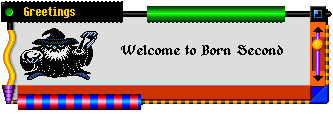 Welcome to Born Second - purveyors of the finest digital instruments